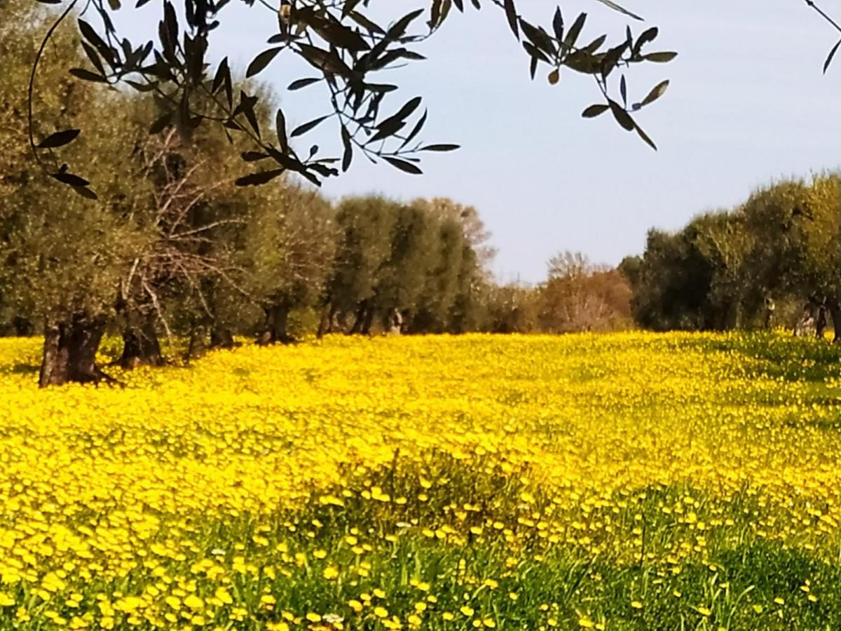 Masseria - Trulli Genius Loci Dimore Monopoli Exteriér fotografie